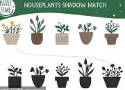 影子之谜全流程解谜攻略与隐藏结局触发条件深度解析