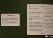 仙境手稿终极攻略全流程解析与隐藏任务达成技巧分享