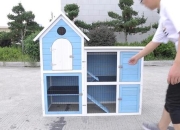 Animal House游戏攻略卡关难点解决与隐藏要素收集指南