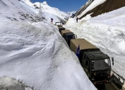 全境封锁游戏攻略生存模式冻僵失血与撤离难点解决指南