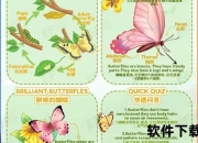 蝴蝶舞步解析：起源、特点与学习技巧全指南