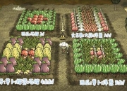 饥荒生存法则：森林探险必备的四季资源收集与基地建设技巧