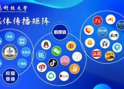 男高效攻略指南：深度解析实战技巧与策略提升胜率关键步骤