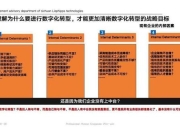菲娜攻略 痛点剖析及对应解决方案