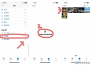 青蛙游戏收信操作全攻略新手必看教程与实用技巧解析