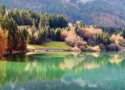 森林河岸逃生终极指南：10个荒野生存技巧与应急避险策略详解