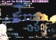 森林山谷逃生终极攻略全地图解析与隐藏关卡通关秘籍