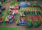 逃离农场全关卡通关技巧与隐藏路线解锁详细步骤指南