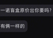 幸运小姐全关卡高效通关秘籍与隐藏要素解锁技巧必看攻略
