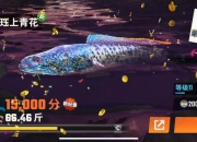 智力捕鱼游戏攻略：破解低效操作与资源浪费的高分技巧指南