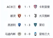 意甲球队数量解析：20支队伍构成顶级联赛格局