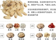 黄芪水养生功效解析：增强免疫与改善体质的健康益处