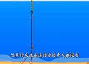 天天有鱼游戏新手必看从零开始轻松掌握钓鱼技巧全攻略