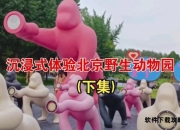 沉浸式野生动物园全攻略