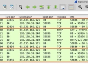 游戏bug高效解法实战技巧与通关秘籍全解析