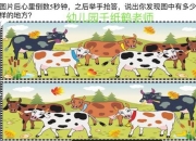 观察力大考验 趣味小游戏等你挑战