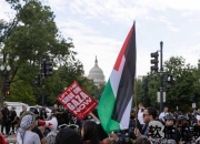 郎平弃用陈丽怡原因解析-战术考量与选人策略深度探秘