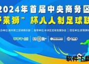 厦门蓝狮：绿茵雄师崛起之路-驰骋赛场铸就闽南足坛新传奇
