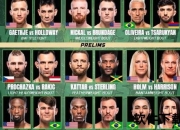 UFC是什么：终极格斗冠军赛的起源-规则与影响力解析