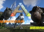 孤胆猎手独闯悬锤堡：高效清怪路线与生存技巧全指南