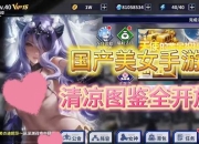 《美女开衣服？独特趣味小游戏》