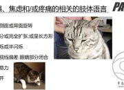 十指连心_探秘肢体疼痛与情感共鸣的深层关联