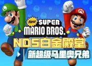 新超级马里奥兄弟2攻略：如何克服游戏中的常见痛点