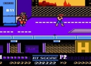 FC红白机经典游戏合集深度回顾与通关秘籍全解析