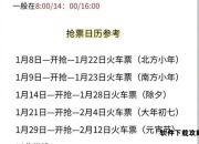 2025抢票终极实战指南