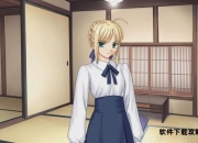 《Fate-stay night》全路线制霸手册：从萌新到真结局大师