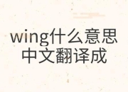 wing深层含义解析-探索其作为翅膀_机翼及引申义的多元定义