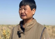 Oasis含义解析_从荒漠绿洲到精神寄托的象征演变