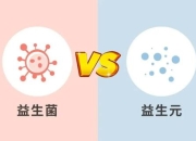 益生元_促进肠道菌群平衡的天然养分解析