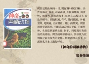 鳄鱼属于哪类动物-从爬行类到鳄目的分类解析与特征揭秘