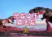 霸王全流程图文攻略详细步骤与通关技巧新手必看指南