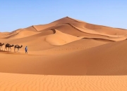 沙漠战争第六关隐藏路线解锁与BOSS速通技巧图文指南