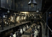 计划越狱全流程逃脱路线规划与监狱守卫应对技巧全攻略