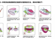 牙医家攻略家庭牙齿护理七步法与日常维护实用技巧