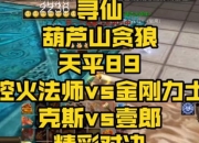 寻仙力士进阶实战指南：高爆发输出与团队副本定位深度解析