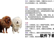 张继科藏獒绰号由来揭秘-赛场表现与性格特质深度解析