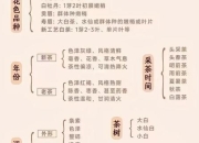 常喝白茶的奥秘：抗氧化美容与健康益处全解析