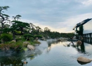 罗红摄影艺术馆攻略 痛点剖析与解决之道