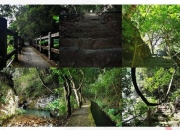 福州森林公园游玩攻略 痛点与解决全知道