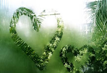 百合花，静默的圣洁与生命的回响