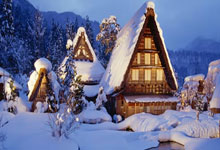 国色天香，牡丹花里的中华气韵